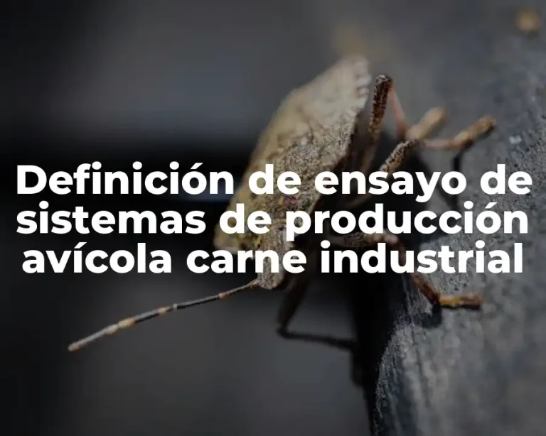 Definición de ensayo de sistemas de producción avícola carne industrial