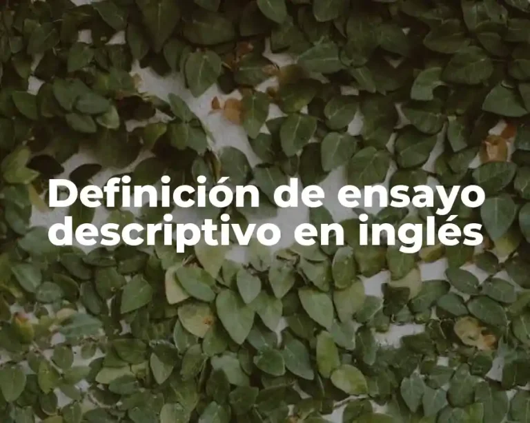 Definición de ensayo descriptivo en inglés