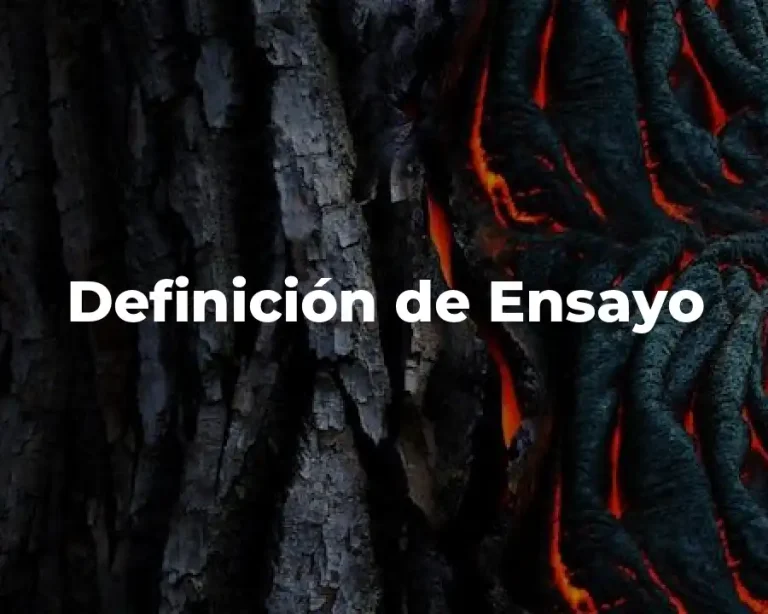 Definición de Ensayo