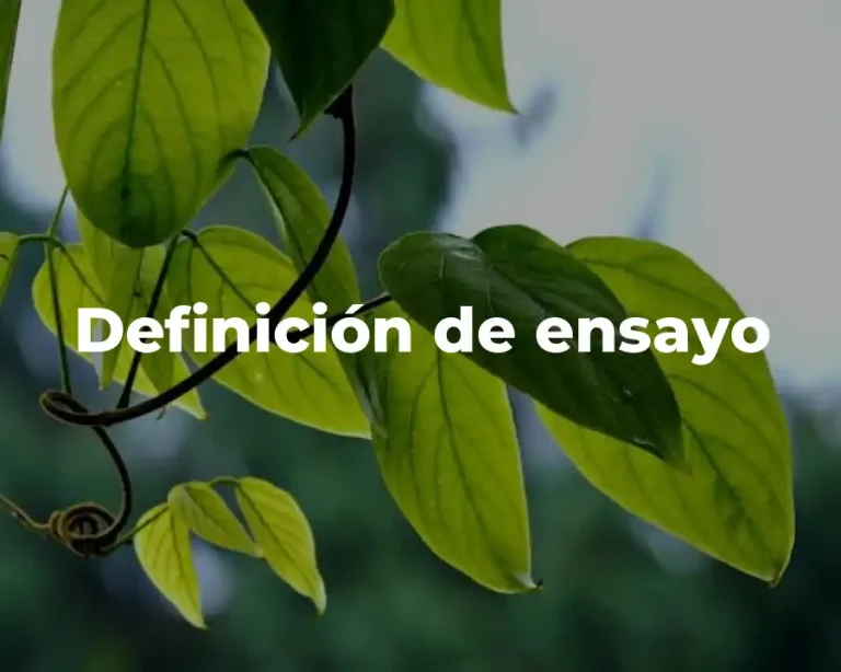 Definición de ensayo