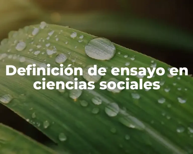 Definición de ensayo en ciencias sociales