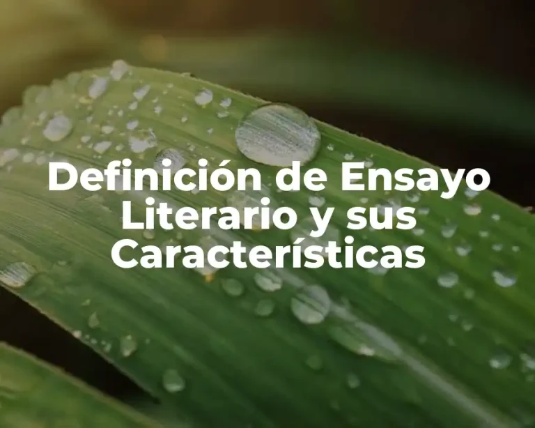 Definición de Ensayo Literario y sus Características