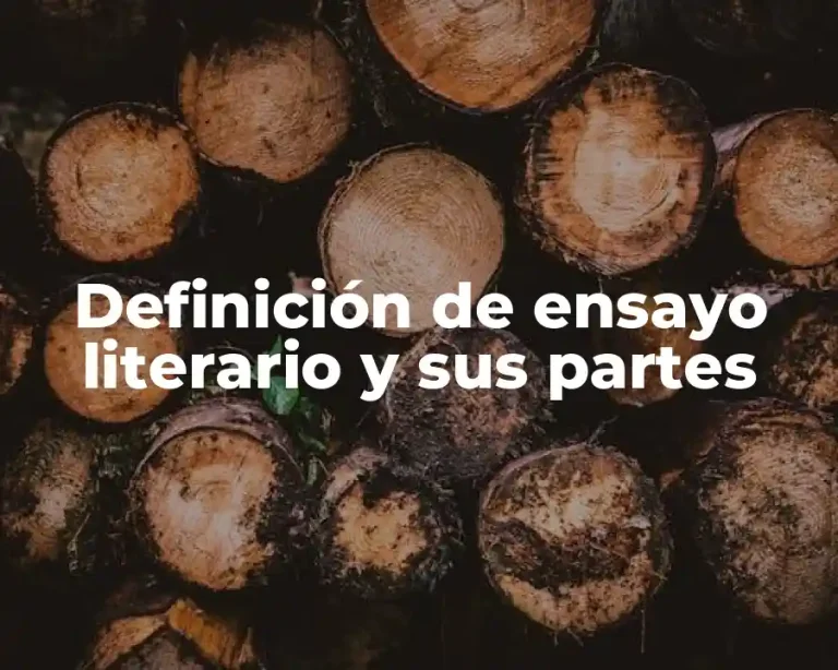 Definición de ensayo literario y sus partes