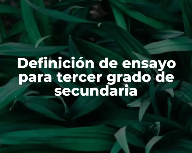 Definición de ensayo para tercer grado de secundaria
