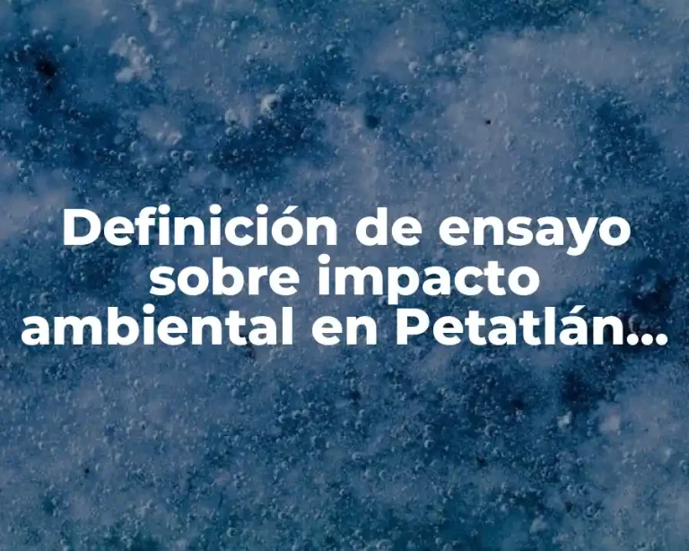 Definición de ensayo sobre impacto ambiental en Petatlán Guerrero