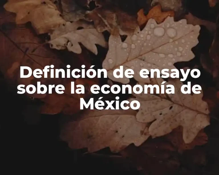 Definición de ensayo sobre la economía de México