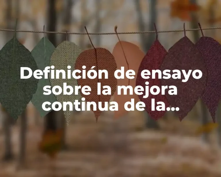Definición de ensayo sobre la mejora continua de la educación