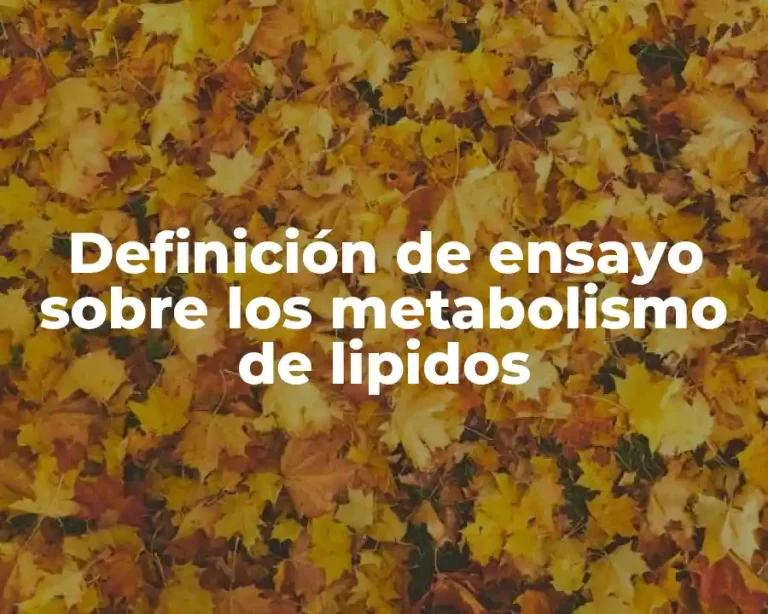 Definición de ensayo sobre los metabolismo de lipidos