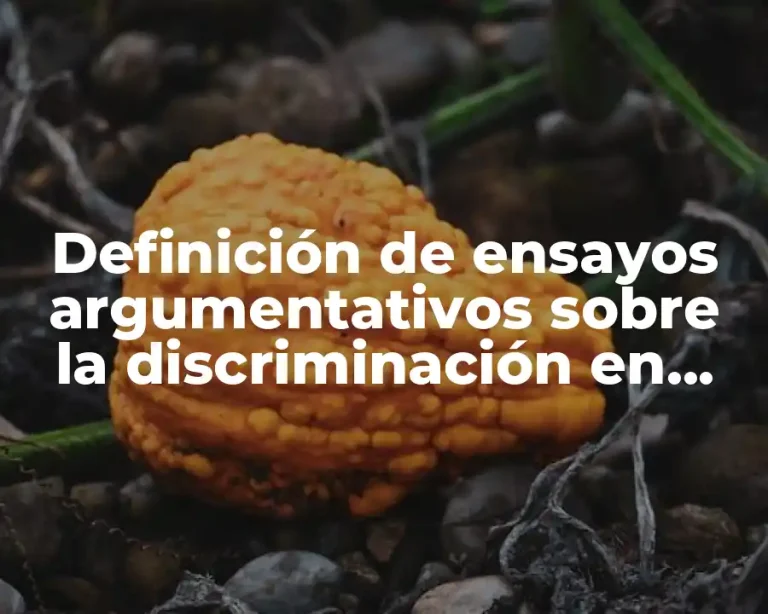 Definición de ensayos argumentativos sobre la discriminación en adolescentes
