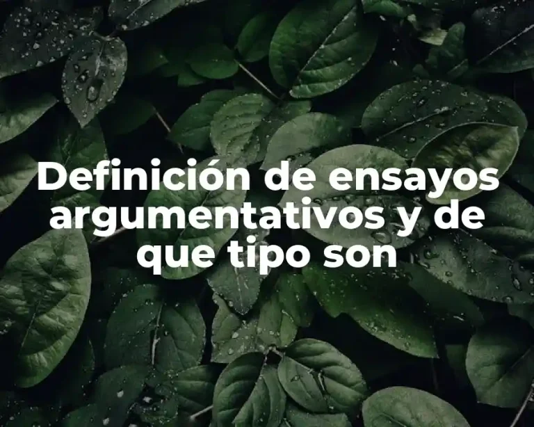 Definición de ensayos argumentativos y de que tipo son