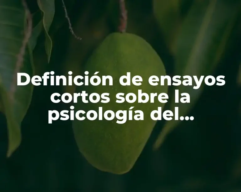 Definición de ensayos cortos sobre la psicología del marketing