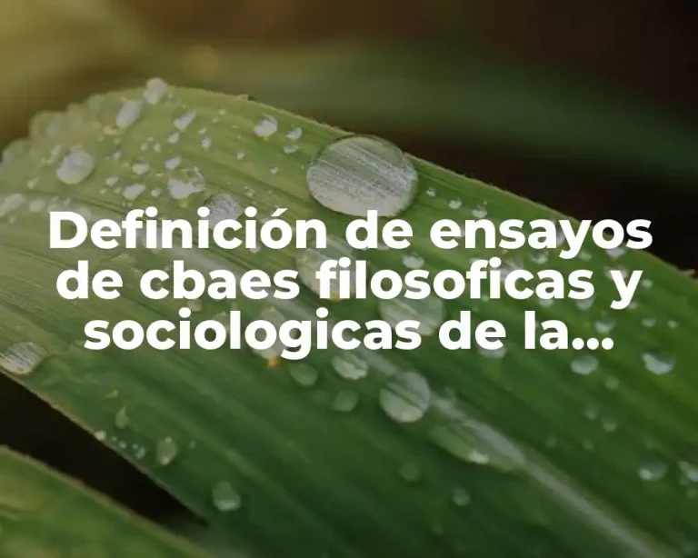 Definición de ensayos de cbaes filosoficas y sociologicas de la educación