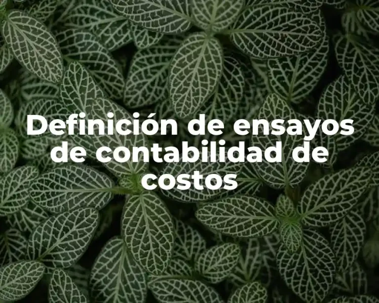 Definición de ensayos de contabilidad de costos