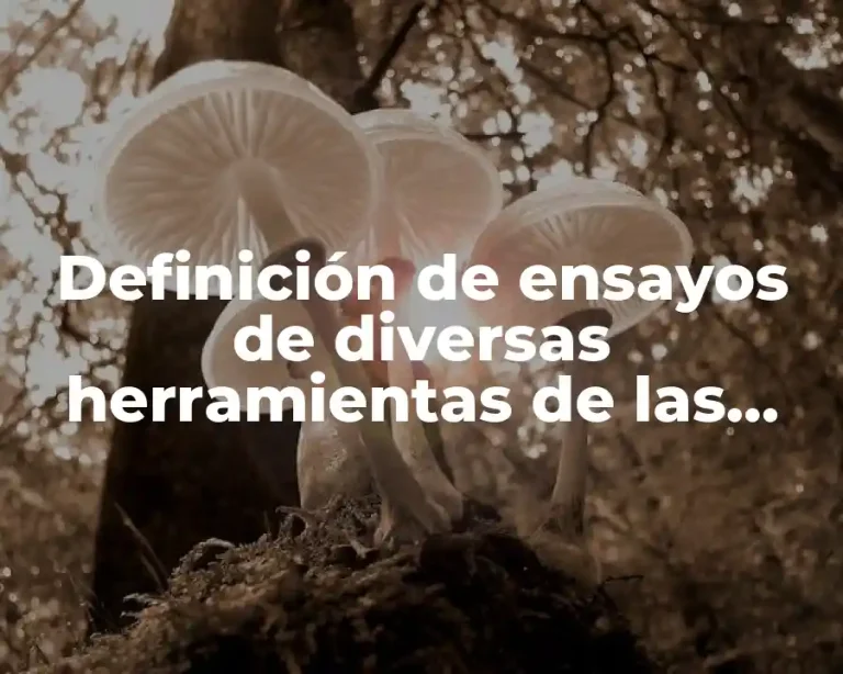 Definición de ensayos de diversas herramientas de las organizaciones