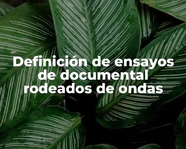 Definición de ensayos de documental rodeados de ondas