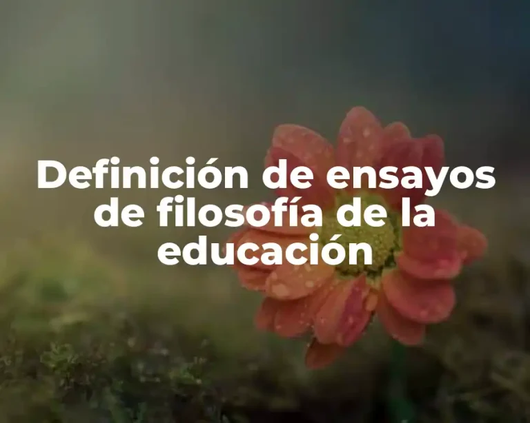 Definición de ensayos de filosofía de la educación