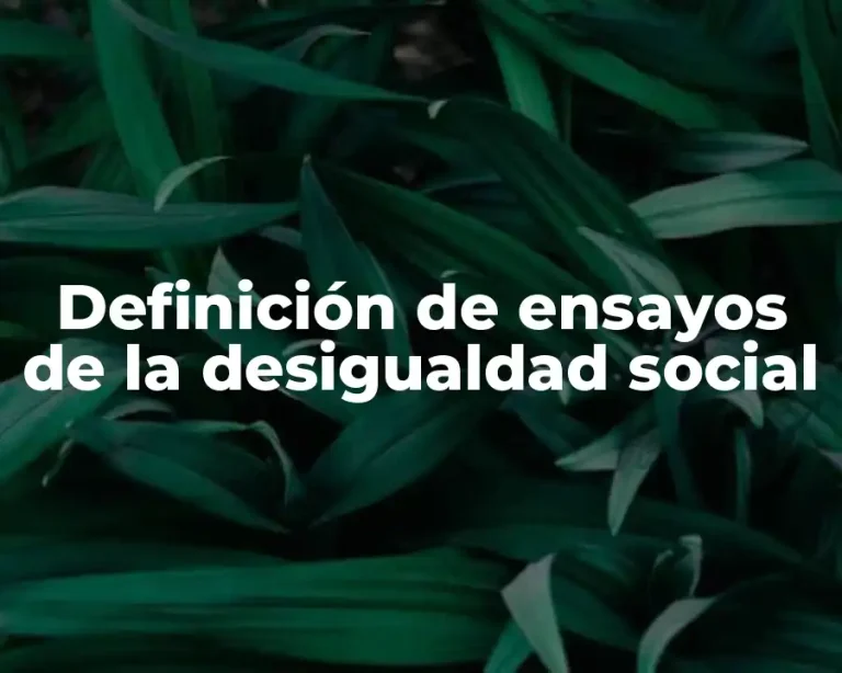 Definición de ensayos de la desigualdad social