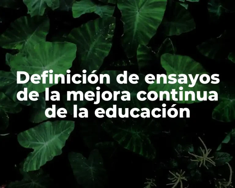 Definición de ensayos de la mejora continua de la educación