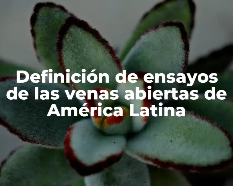 Definición de ensayos de las venas abiertas de América Latina