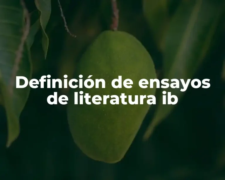 Definición de ensayos de literatura ib