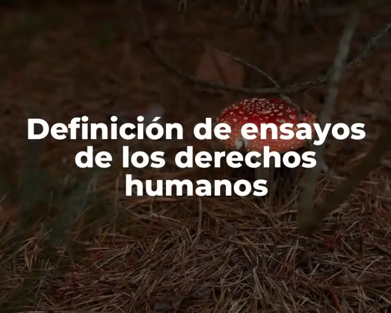 Definición de ensayos de los derechos humanos