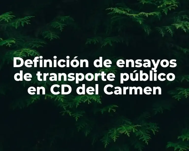 Definición de ensayos de transporte público en CD del Carmen