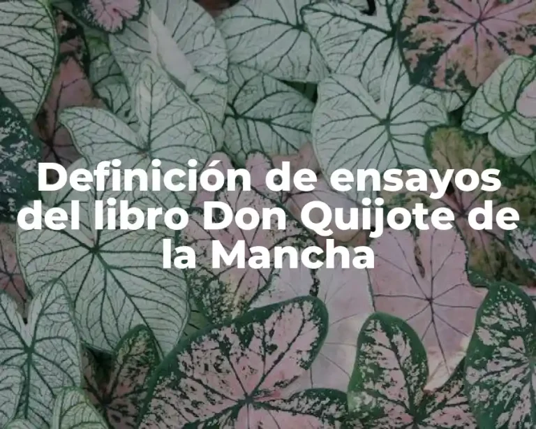 Definición de ensayos del libro Don Quijote de la Mancha