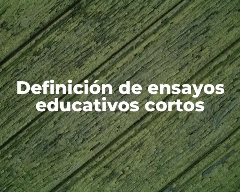Definición de ensayos educativos cortos