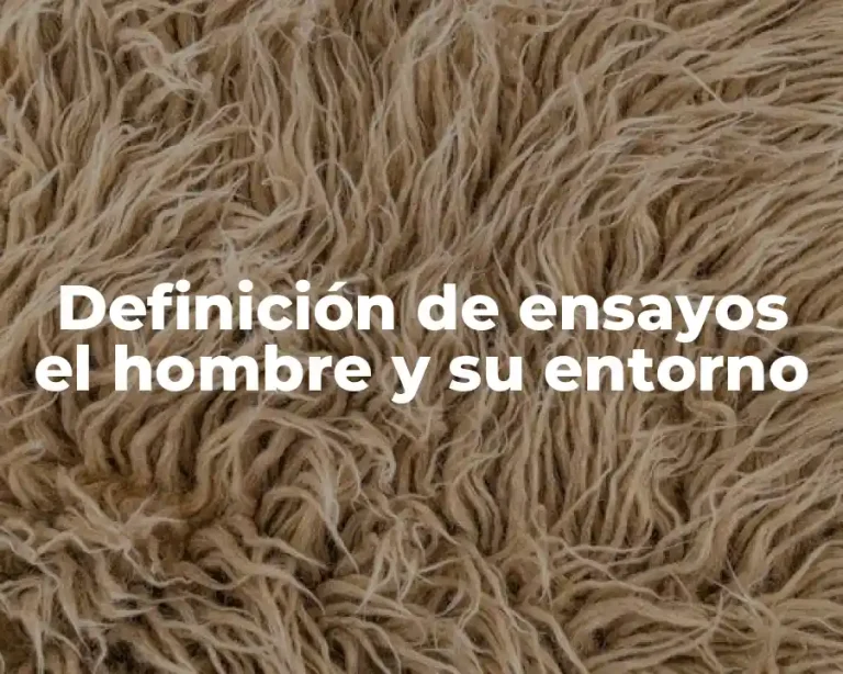 Definición de ensayos el hombre y su entorno