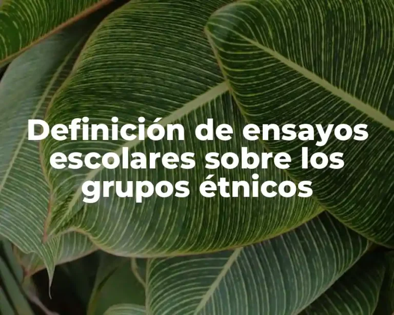 Definición de ensayos escolares sobre los grupos étnicos