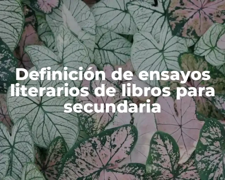 Definición de ensayos literarios de libros para secundaria