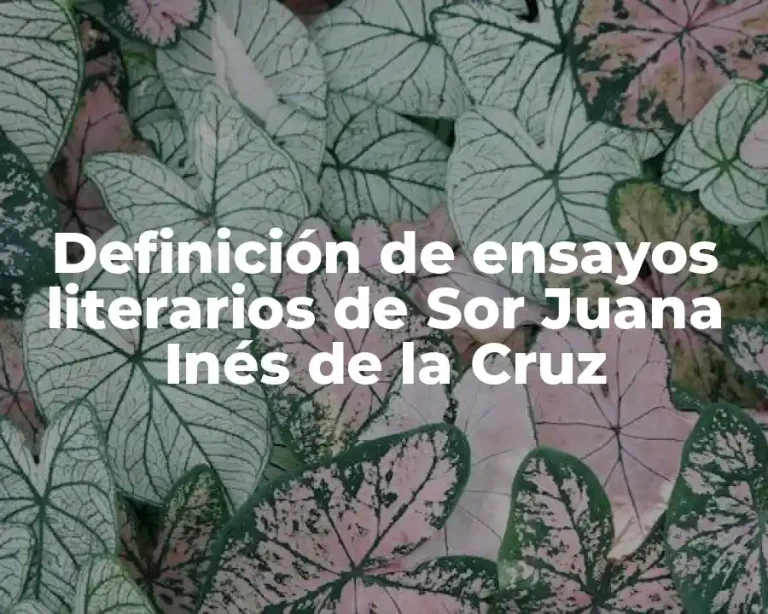 Definición de ensayos literarios de Sor Juana Inés de la Cruz