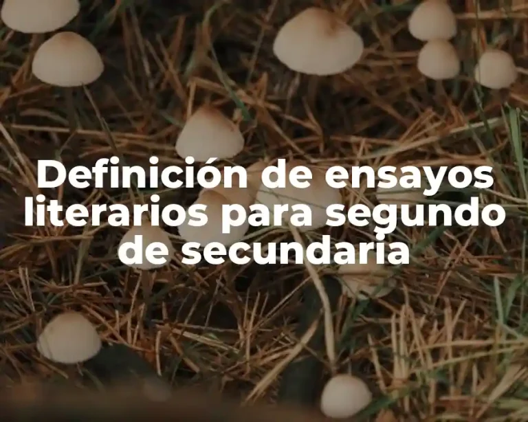 Definición de ensayos literarios para segundo de secundaria