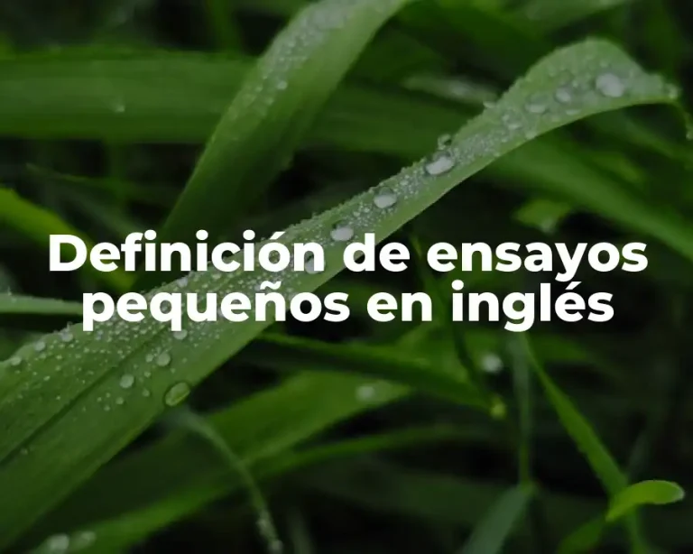 Definición de ensayos pequeños en inglés