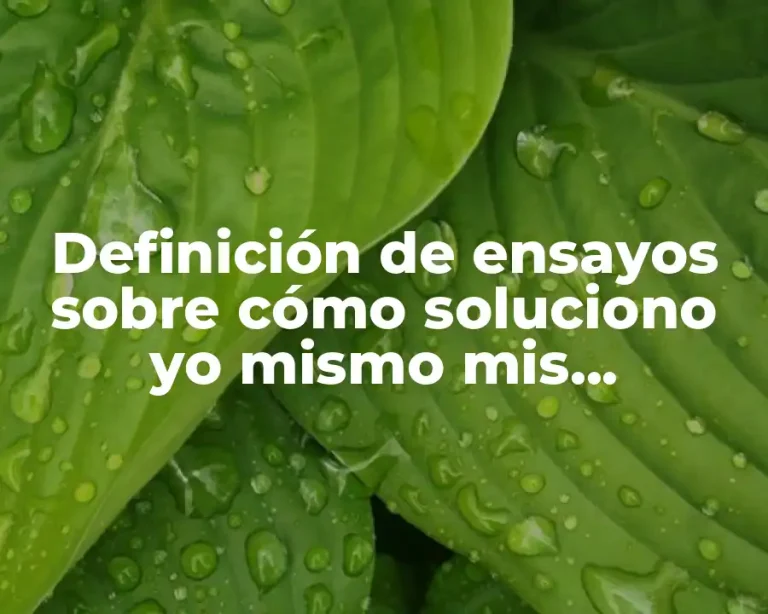 Definición de ensayos sobre cómo soluciono yo mismo mis conflictos
