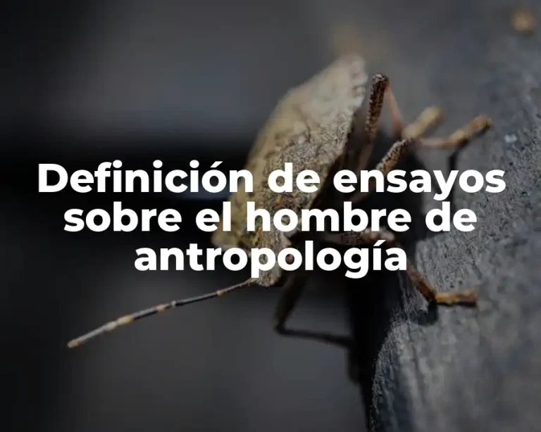 Definición de ensayos sobre el hombre de antropología