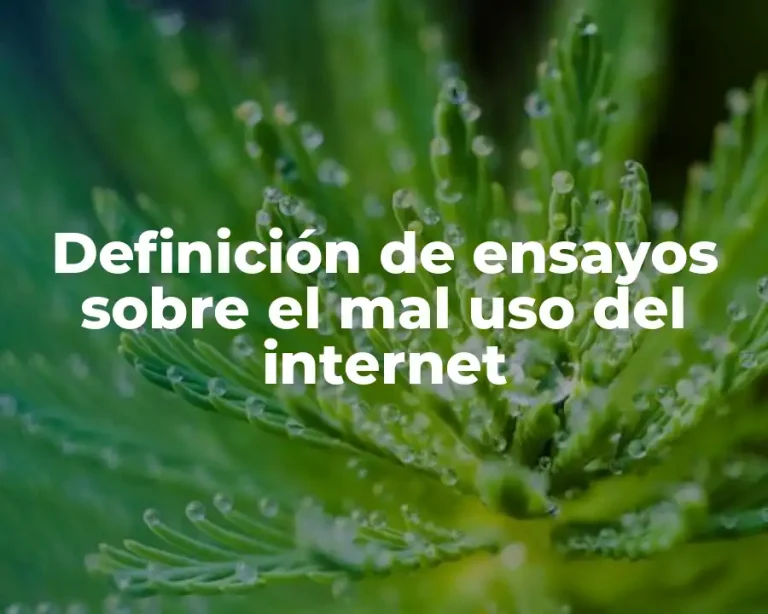 Definición de ensayos sobre el mal uso del internet