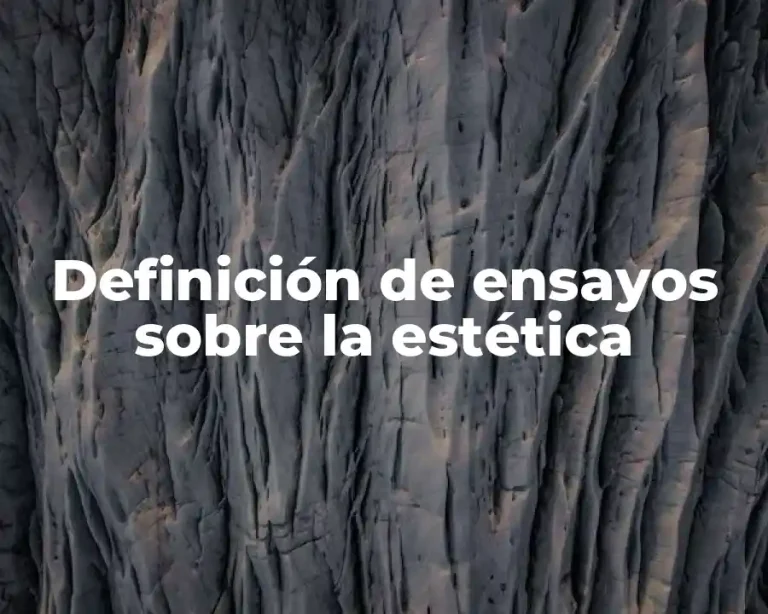 Definición de ensayos sobre la estética