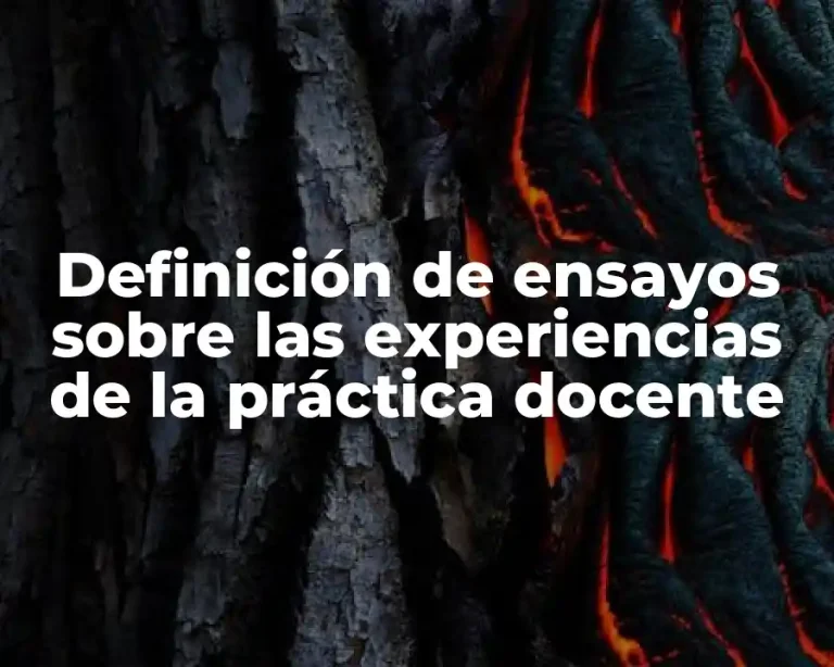 Definición de ensayos sobre las experiencias de la práctica docente