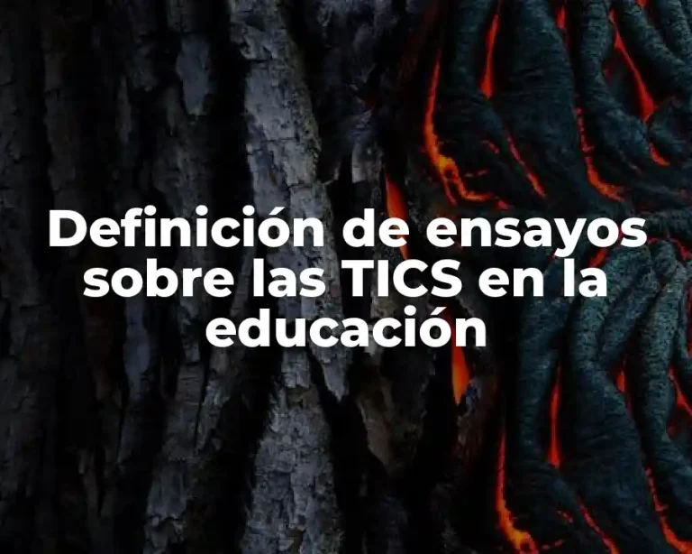 Definición de ensayos sobre las TICS en la educación