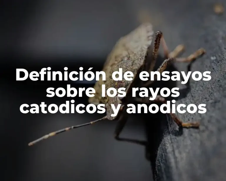 Definición de ensayos sobre los rayos catodicos y anodicos