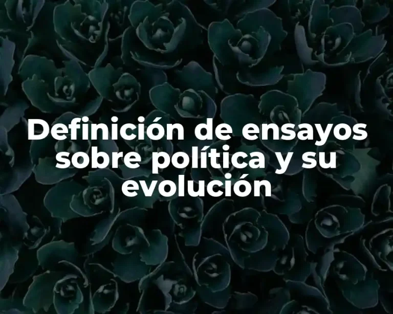 Definición de ensayos sobre política y su evolución