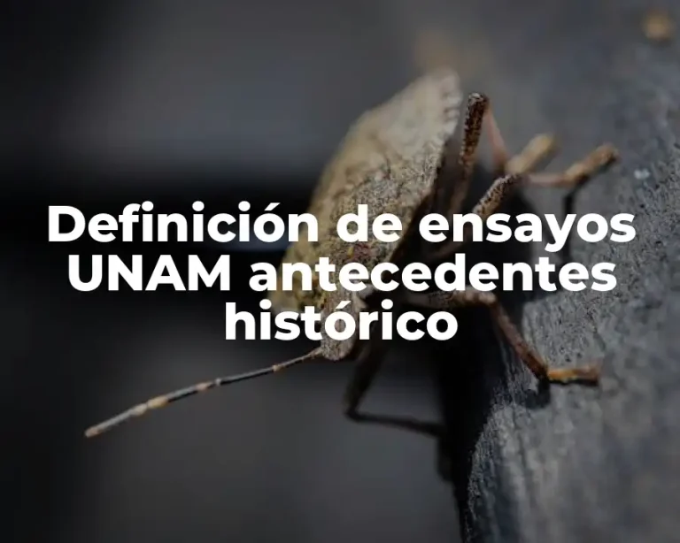 Definición de ensayos UNAM antecedentes histórico
