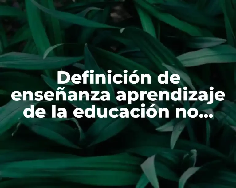 Definición de enseñanza aprendizaje de la educación no formal