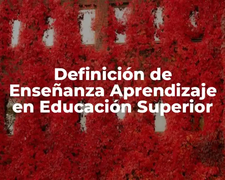 Definición de Enseñanza Aprendizaje en Educación Superior