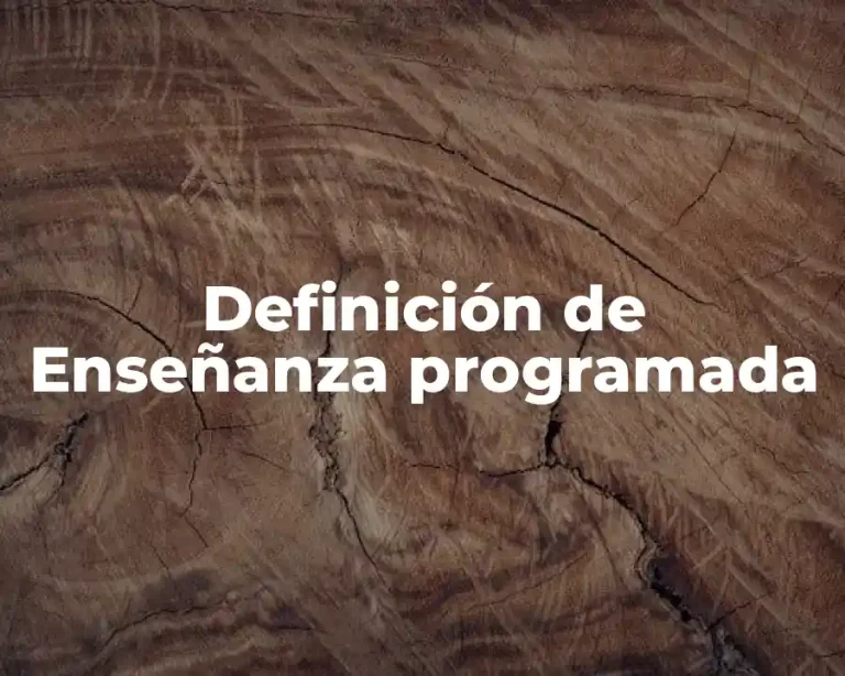Definición de Enseñanza programada