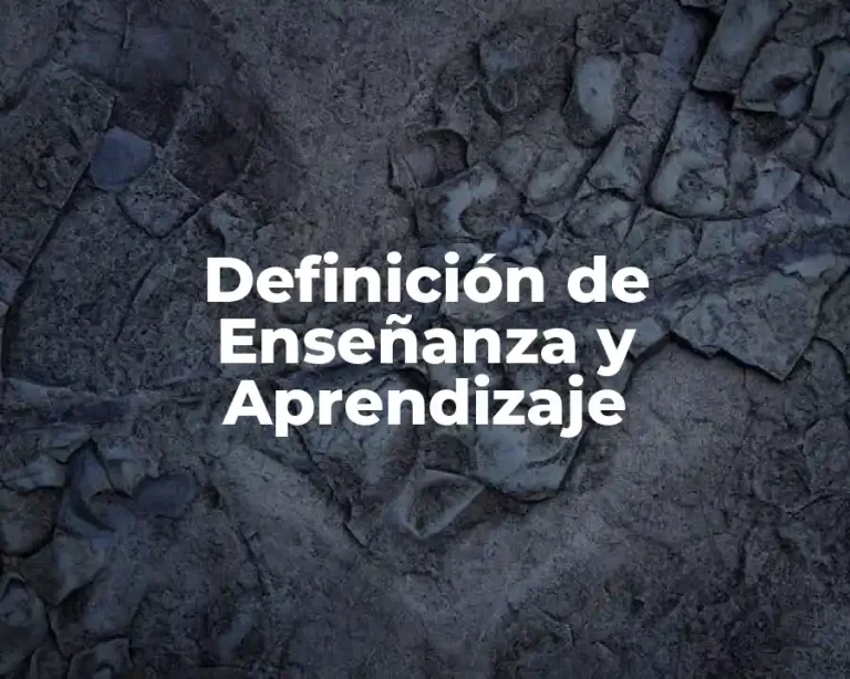 Definición de Enseñanza y Aprendizaje