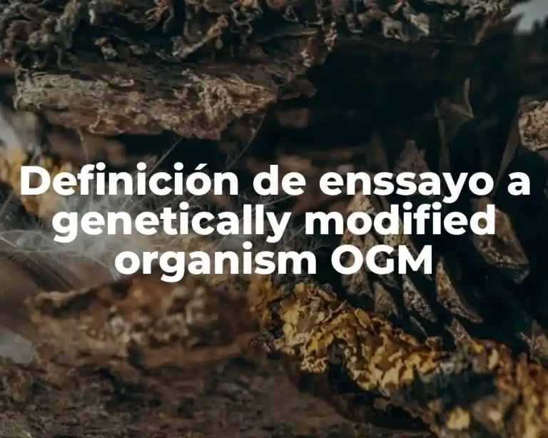 Definición de enssayo a genetically modified organism OGM