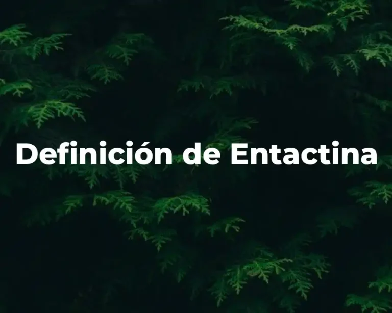 Definición de Entactina
