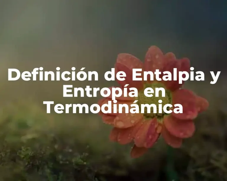 Definición de Entalpia y Entropía en Termodinámica
